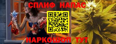 прущие грибы Пугачёв