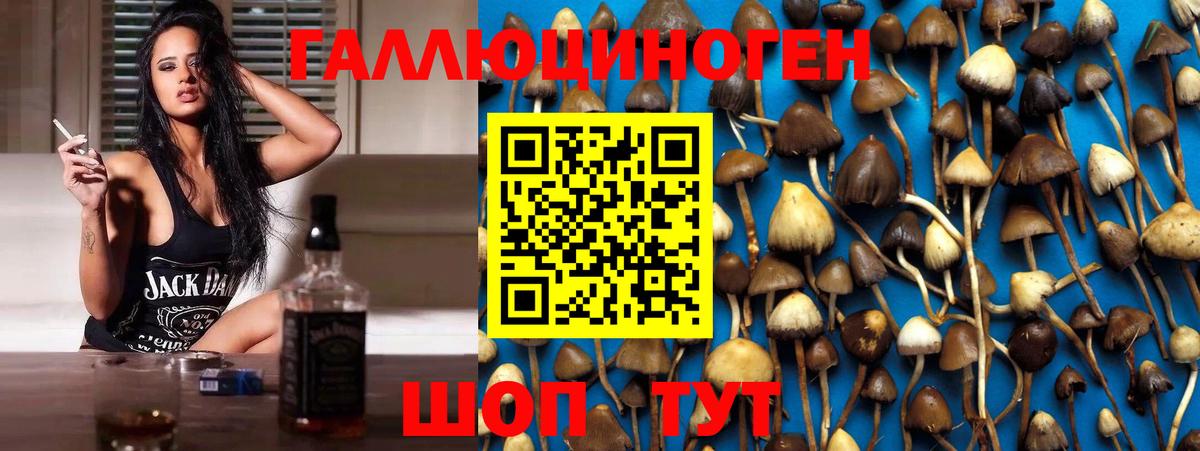 Псилоцибиновые грибы MAGIC MUSHROOMS Ступино